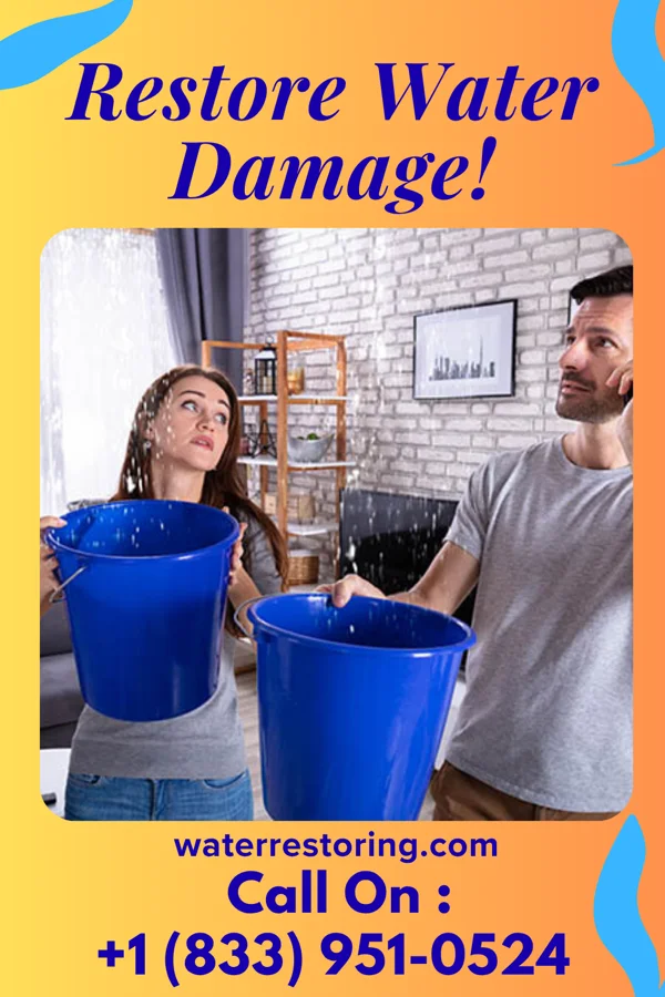 water restoration Vigilant Water Damage Authority Newtown