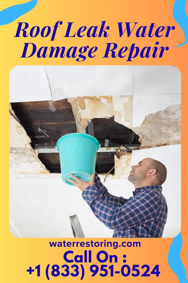 Roof Leak Water Damage Repair in Newtown, MO